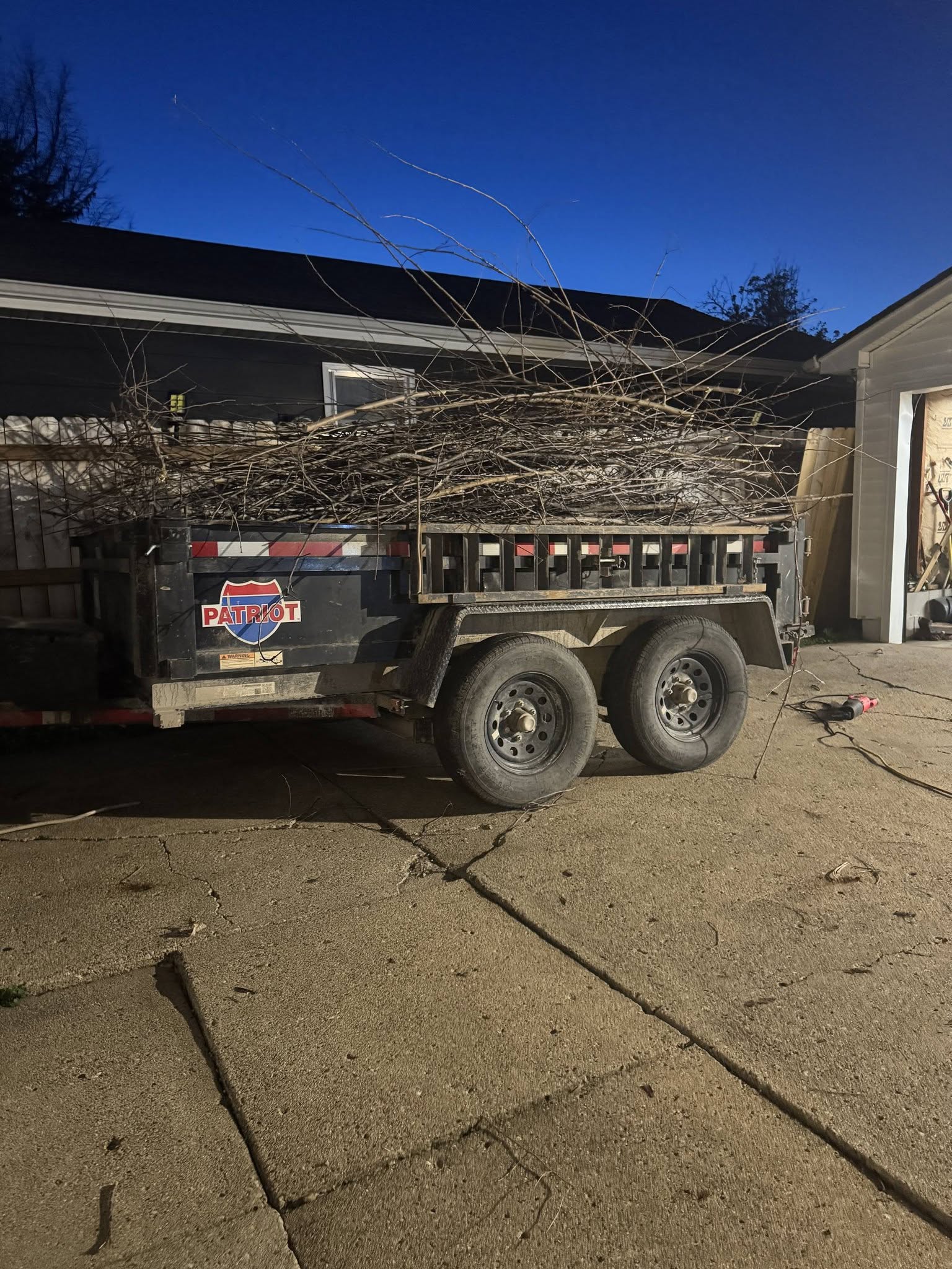 Tree Removal job photo